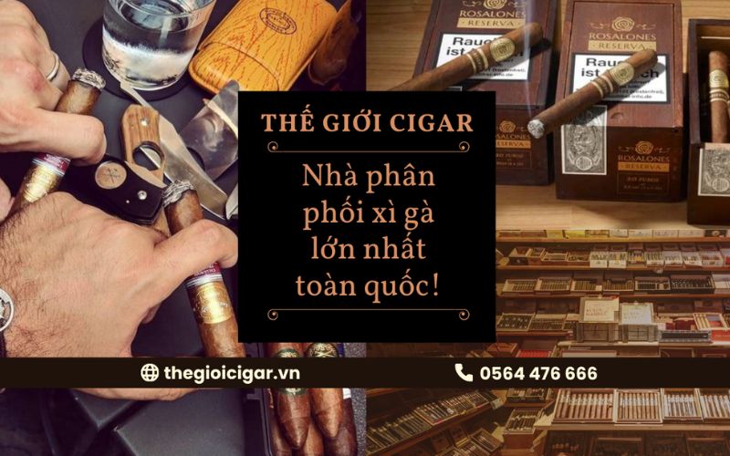 Thế Giới Cigar, nơi cung cấp xì gà cao cấp