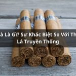 Xì Gà Là Gì? Khác Biệt Giữa Xì Gà Và Thuốc Lá Truyền Thống?