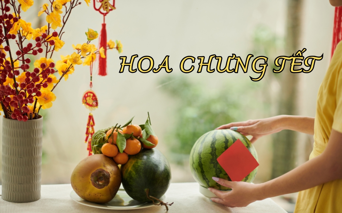 hoa chưng tết