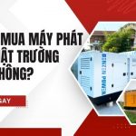 Tại Sao Nên Chọn Mua Máy Phát Điện Nhật Trường Minh?